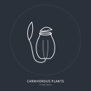 Carnivore Pflanzen