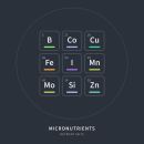 Mikroelemente