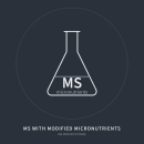 MS micro element mods