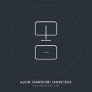Auxin-Transportinhibitoren