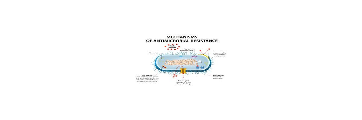 Missing awareness: Microbial resistence buildup in plant tissue culture - 