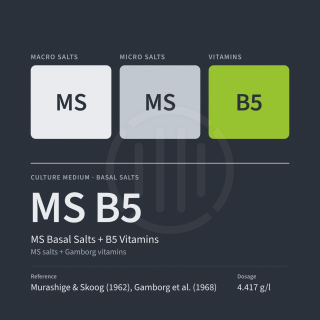 Murashige & Skoog Basis-Salze + Gamborg Vitamine