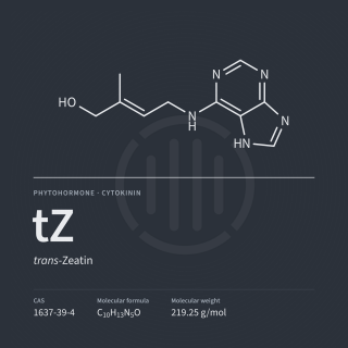 trans-Zeatin