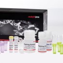 innuPREP Plant DNA Extraction Kit