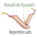 R. de Fossards Nepenthes Basis Salze