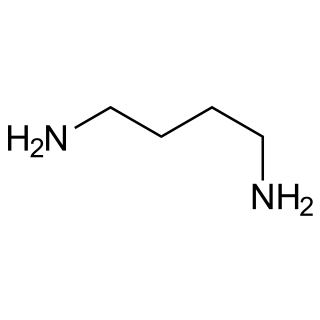 Putrescin Dihydrochlorid