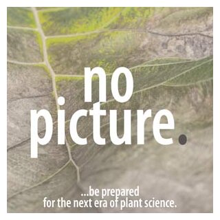 Eeuwens Y3 Basic Salts mod.