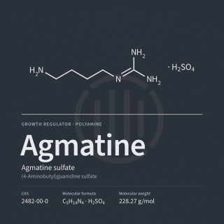Agmatinsulfat
