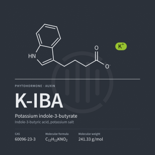 K-IBA | Indol-3-buttersäure Kaliumsalz