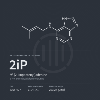 2iP | N6-(2-Isopentenyl)adenine