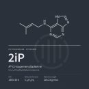 2iP | N6-(2-Isopentenyl)adenin