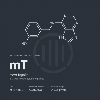 mT | meta-Topolin