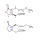 (±)-Jasmonic acid