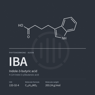 IBA | Indol-3-buttersäure