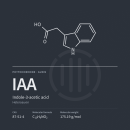 IAA | Indol-3-essigsäure