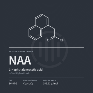 NAA | 1-Naphthaleneacetic acid