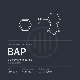 BAP | 6-Benzylaminopurine